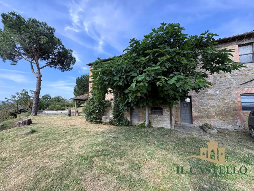 Immagine 16 di Rustico / casale in vendita  in panicale a Panicale