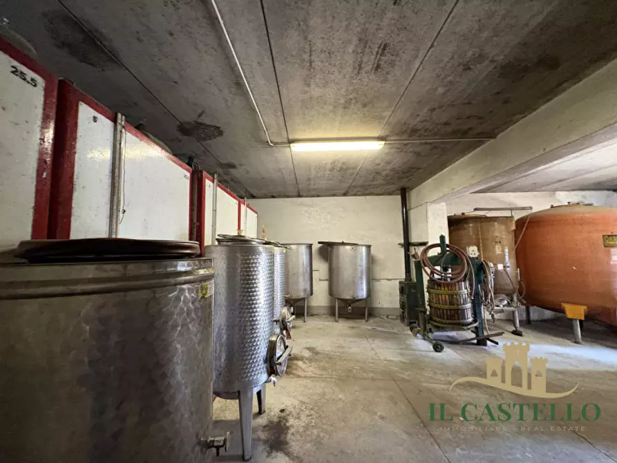 Immagine 33 di Rustico / casale in vendita  in panicale a Panicale