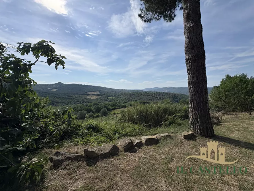 Immagine 55 di Rustico / casale in vendita  in panicale a Panicale