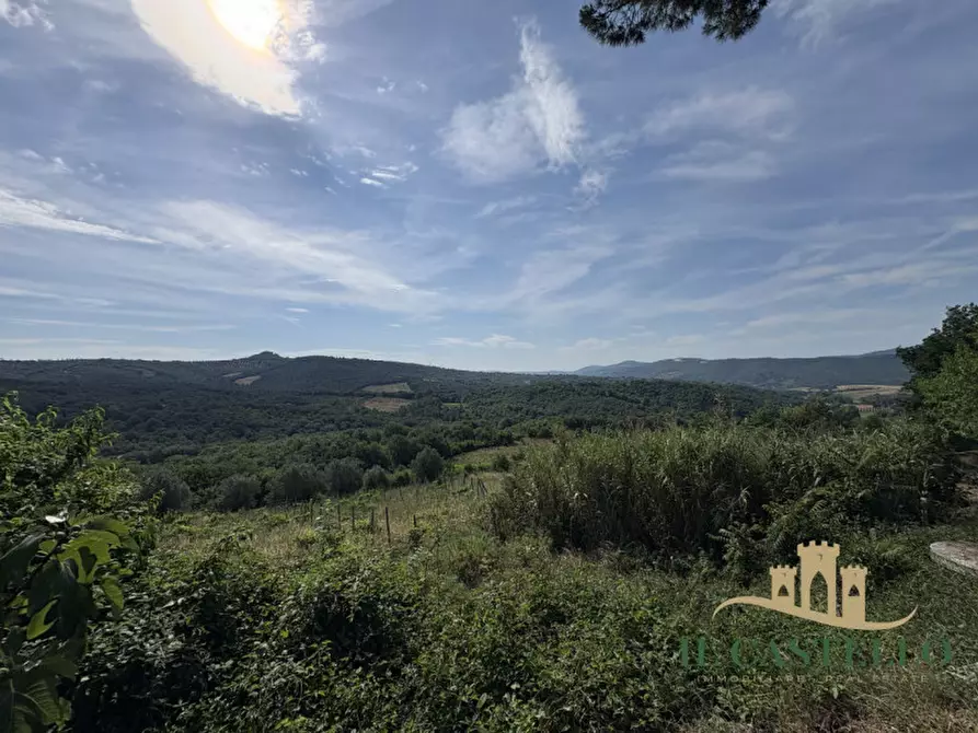 Immagine 56 di Rustico / casale in vendita  in panicale a Panicale