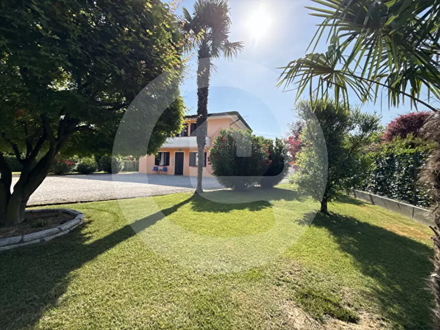 Immagine 1 di Casa bifamiliare in vendita  a San Giorgio Delle Pertiche