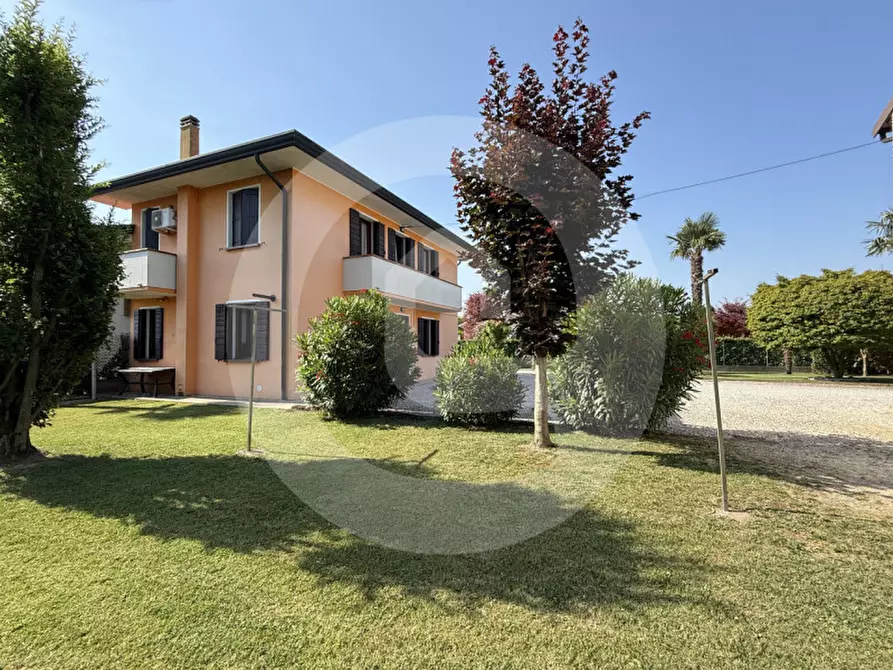 Immagine 2 di Casa bifamiliare in vendita  a San Giorgio Delle Pertiche