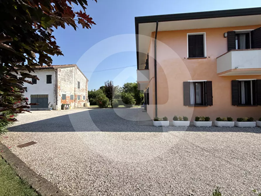 Immagine 3 di Casa bifamiliare in vendita  a San Giorgio Delle Pertiche