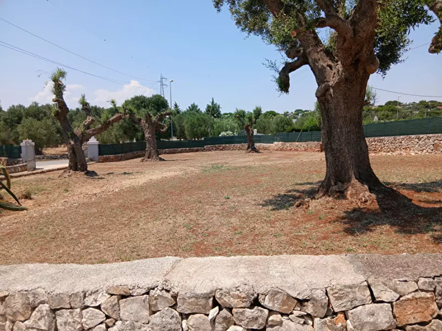 Immagine 5 di Villa in vendita  in C.da Montecaruso a Ostuni