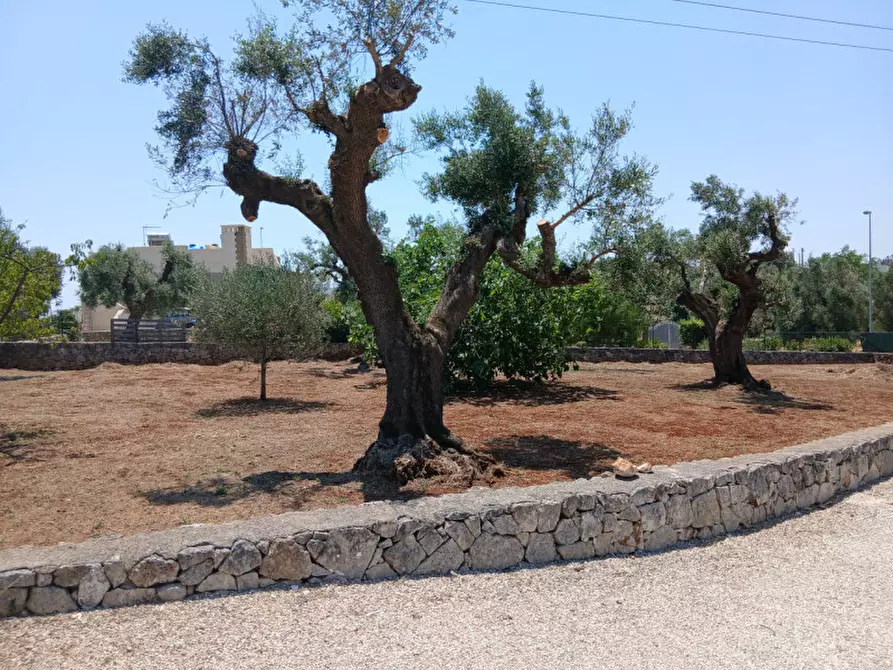 Immagine 6 di Villa in vendita  in C.da Montecaruso a Ostuni