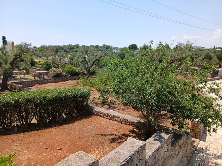 Immagine 46 di Villa in vendita  in C.da Montecaruso a Ostuni