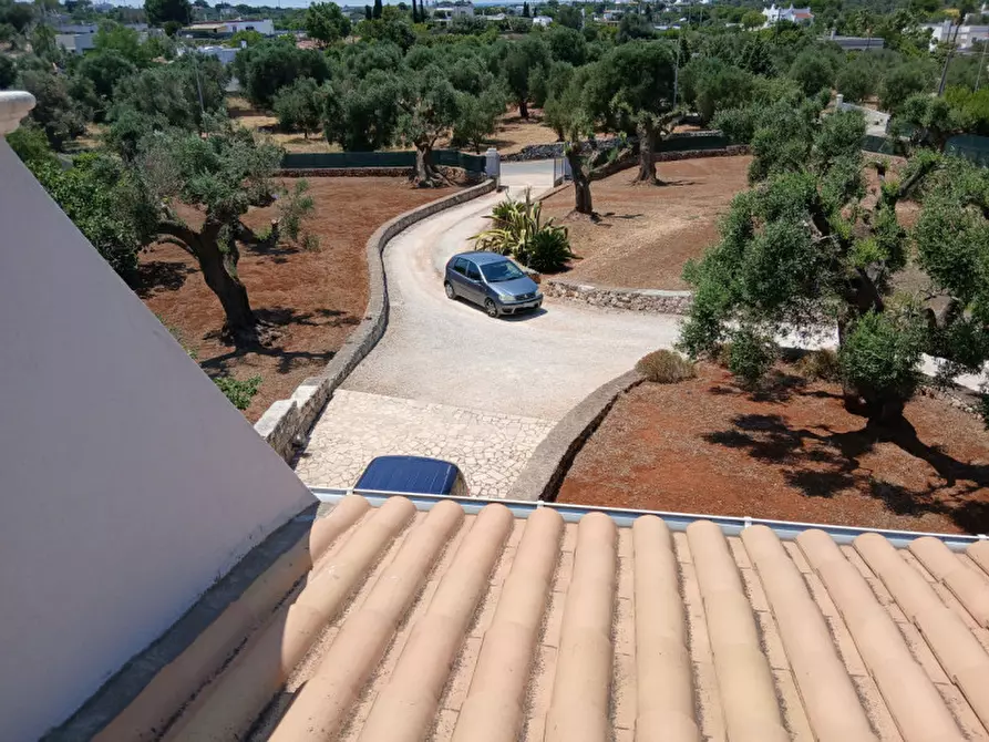 Immagine 61 di Villa in vendita  in C.da Montecaruso a Ostuni