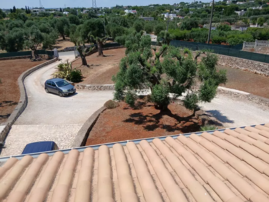 Immagine 62 di Villa in vendita  in C.da Montecaruso a Ostuni
