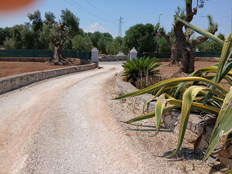 Immagine 67 di Villa in vendita  in C.da Montecaruso a Ostuni