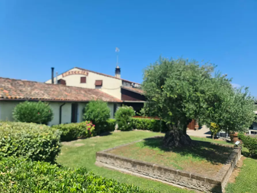 Immagine 1 di Attività commerciale in vendita  in VIA ROMEA 47 a Comacchio