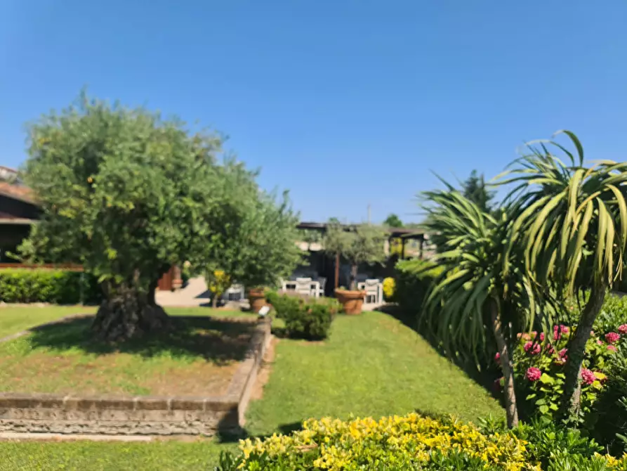 Immagine 2 di Attività commerciale in vendita  in VIA ROMEA 47 a Comacchio