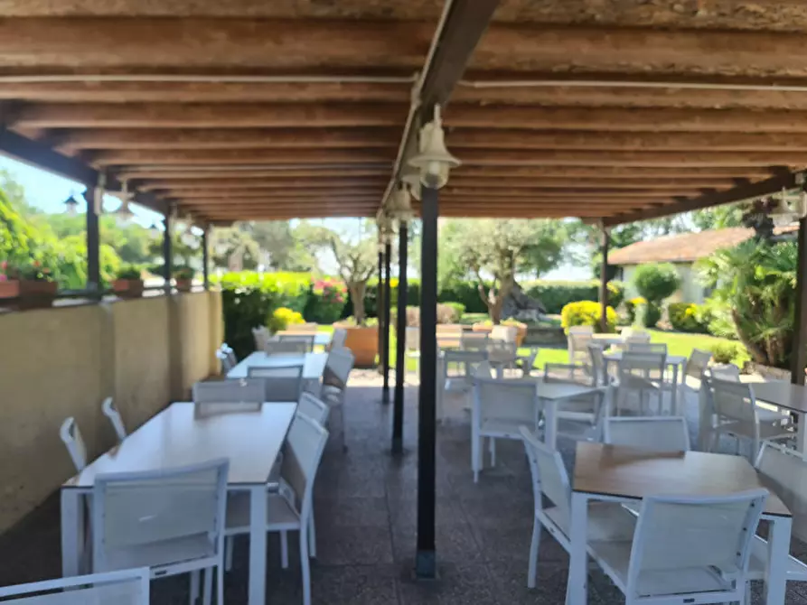 Immagine 3 di Attività commerciale in vendita  in VIA ROMEA 47 a Comacchio