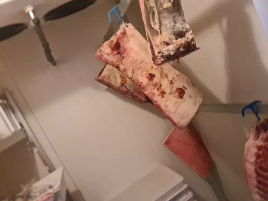 Immagine 47 di Attività commerciale in vendita  in VIA ROMEA 47 a Comacchio