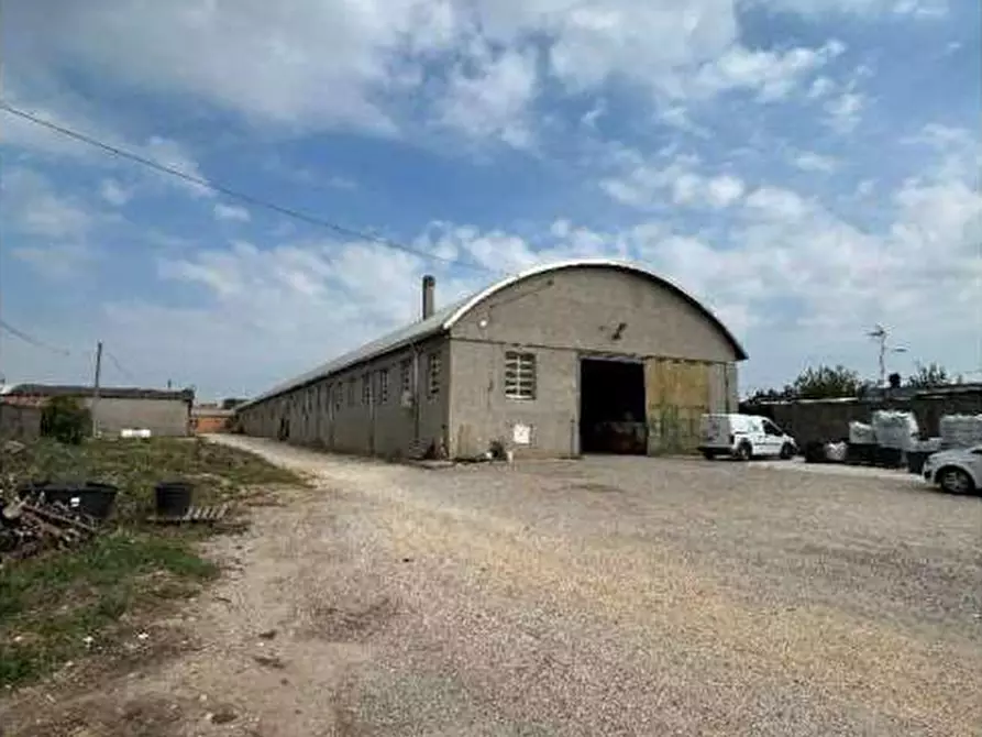 Immagine 1 di Capannone industriale in vendita  in Via Frescadella s.n.c. a Cerea