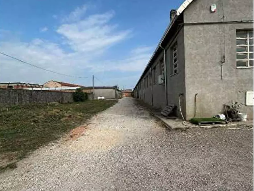 Immagine 2 di Capannone industriale in vendita  in Via Frescadella s.n.c. a Cerea
