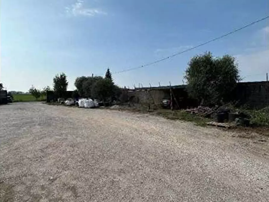 Immagine 4 di Capannone industriale in vendita  in Via Frescadella s.n.c. a Cerea