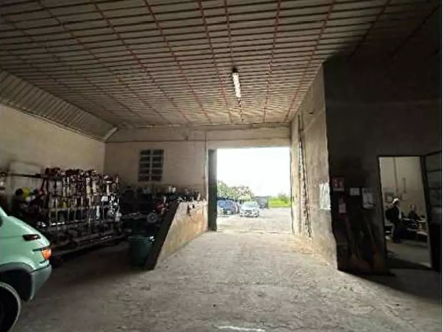 Immagine 18 di Capannone industriale in vendita  in Via Frescadella s.n.c. a Cerea