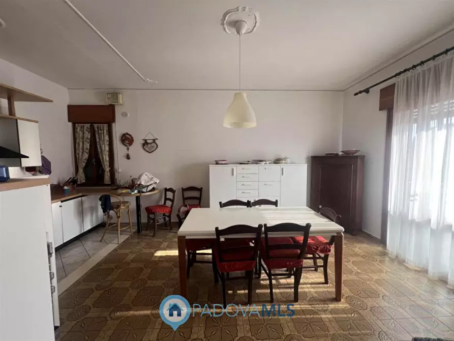 Immagine 3 di Casa bifamiliare in vendita  in Via Guglielmo Marconi a San Pietro Viminario