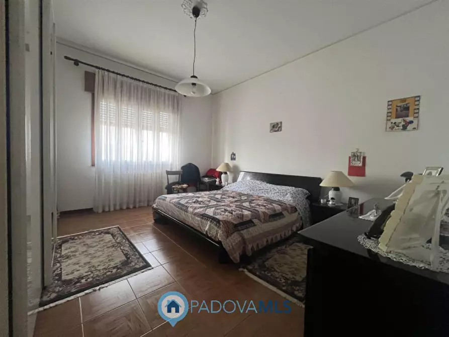 Immagine 6 di Casa bifamiliare in vendita  in Via Guglielmo Marconi a San Pietro Viminario