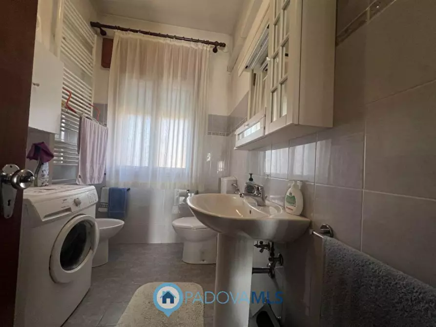 Immagine 8 di Casa bifamiliare in vendita  in Via Guglielmo Marconi a San Pietro Viminario