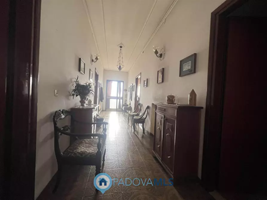 Immagine 10 di Casa bifamiliare in vendita  in Via Guglielmo Marconi a San Pietro Viminario