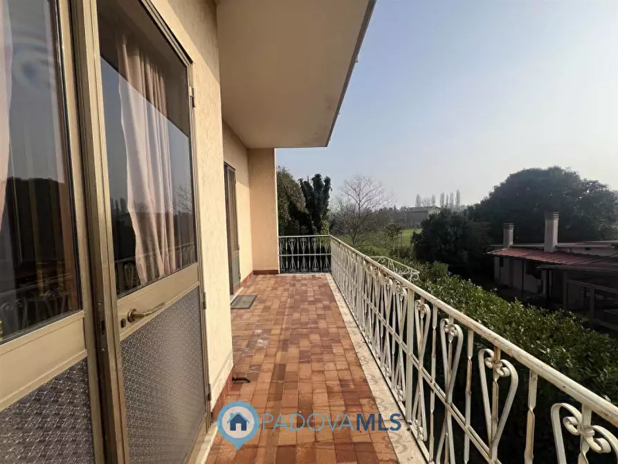 Immagine 11 di Casa bifamiliare in vendita  in Via Guglielmo Marconi a San Pietro Viminario