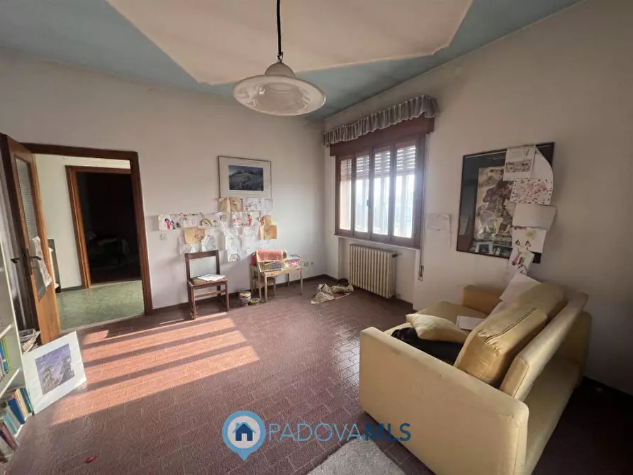 Immagine 15 di Casa bifamiliare in vendita  in Via Guglielmo Marconi a San Pietro Viminario
