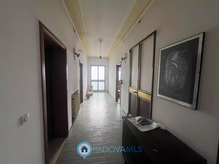 Immagine 18 di Casa bifamiliare in vendita  in Via Guglielmo Marconi a San Pietro Viminario