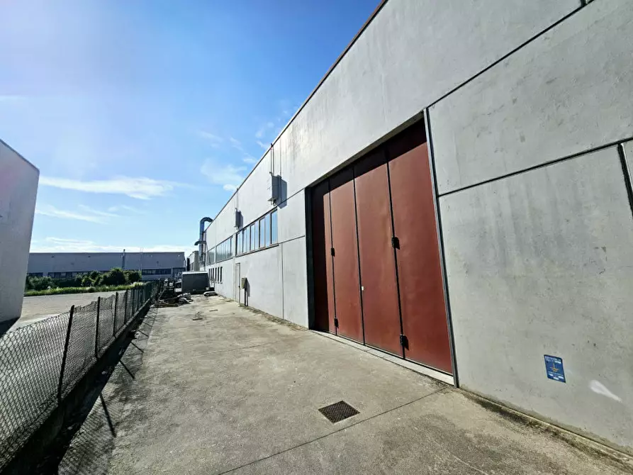 Immagine 4 di Magazzino in vendita  in VIA DELL'ARTIGIANATO a Merlara