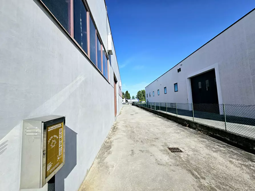 Immagine 9 di Magazzino in vendita  in VIA DELL'ARTIGIANATO a Merlara