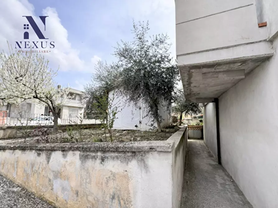 Immagine 12 di Appartamento in vendita  a Monte Porzio