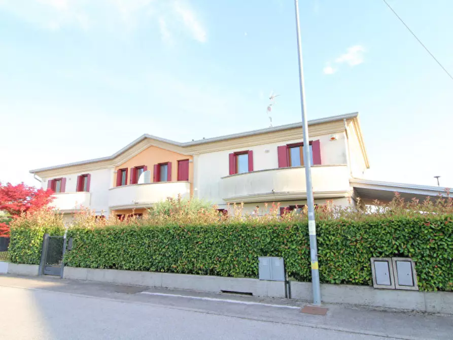 Immagine 3 di Casa quadrifamiliare in vendita  a Terrassa Padovana