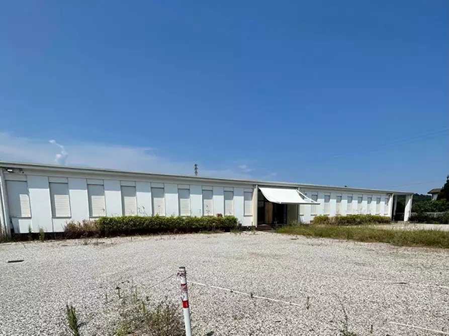 Immagine 1 di Capannone industriale in affitto  in Via San Daniele a Torreglia