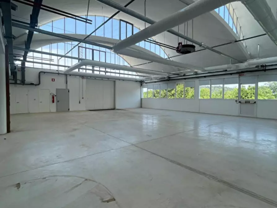Immagine 3 di Capannone industriale in affitto  in Via San Daniele a Torreglia