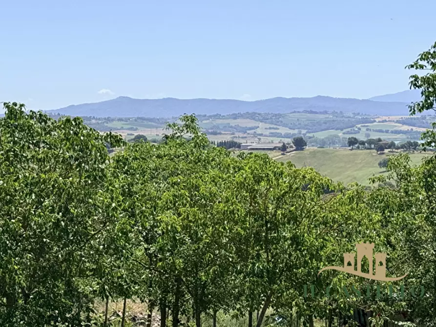 Immagine 39 di Casa indipendente in vendita  in bonazzoli a Castiglione Del Lago