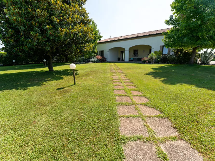 Immagine 1 di Villa in vendita  a Campolongo Maggiore