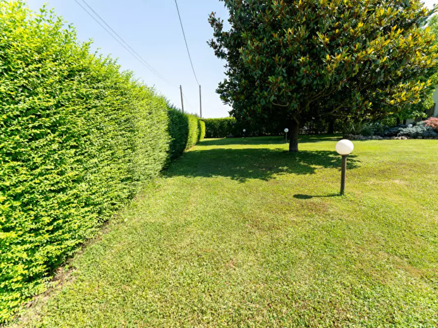 Immagine 2 di Villa in vendita  a Campolongo Maggiore