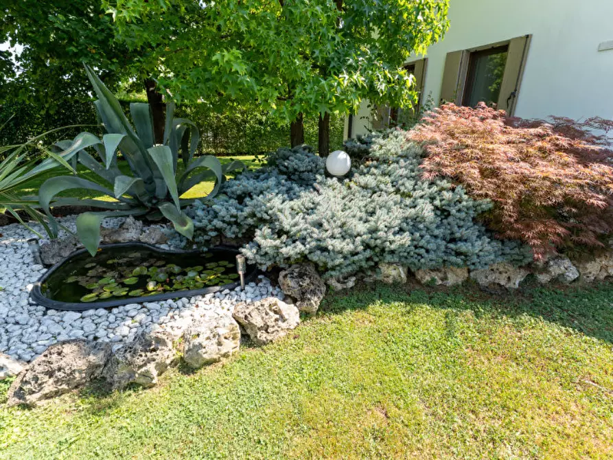 Immagine 3 di Villa in vendita  a Campolongo Maggiore