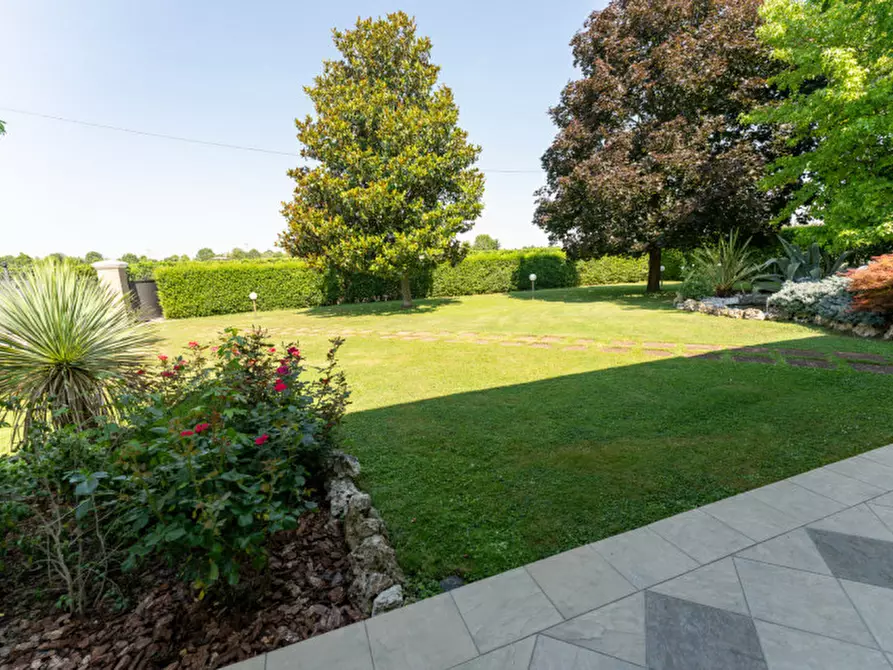 Immagine 4 di Villa in vendita  a Campolongo Maggiore