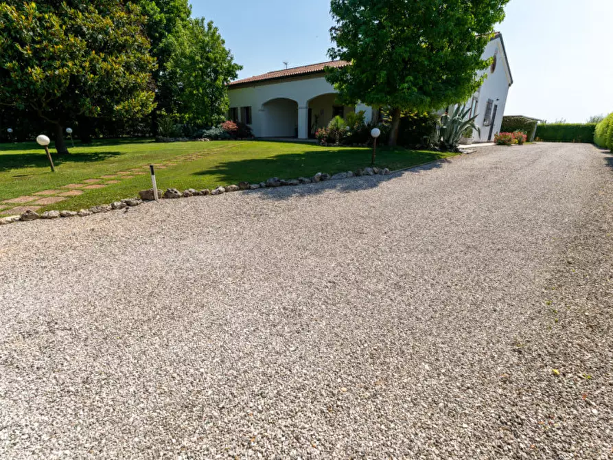 Immagine 6 di Villa in vendita  a Campolongo Maggiore