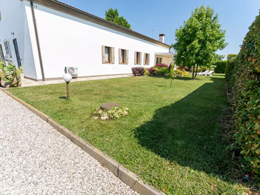 Immagine 9 di Villa in vendita  a Campolongo Maggiore
