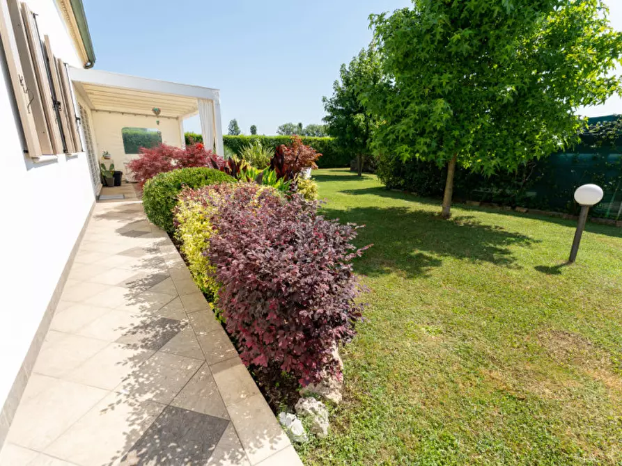 Immagine 10 di Villa in vendita  a Campolongo Maggiore