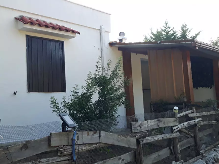 Immagine 11 di Villa in affitto  in C.da Abate Melchiorre a Ostuni