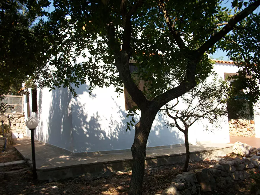 Immagine 14 di Villa in affitto  in C.da Abate Melchiorre a Ostuni