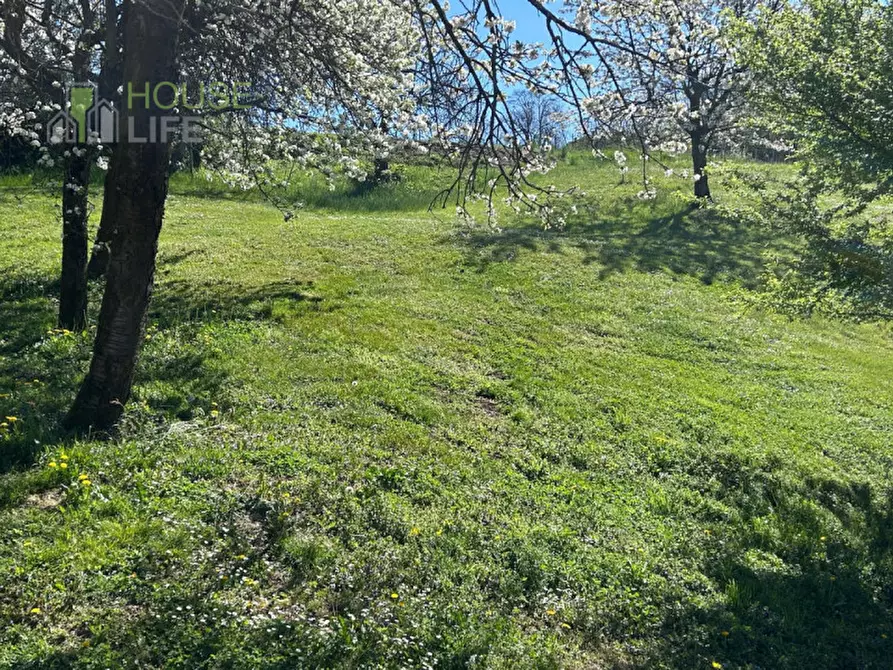 Immagine 8 di Terreno in vendita  in Via Pontaron a Caldogno