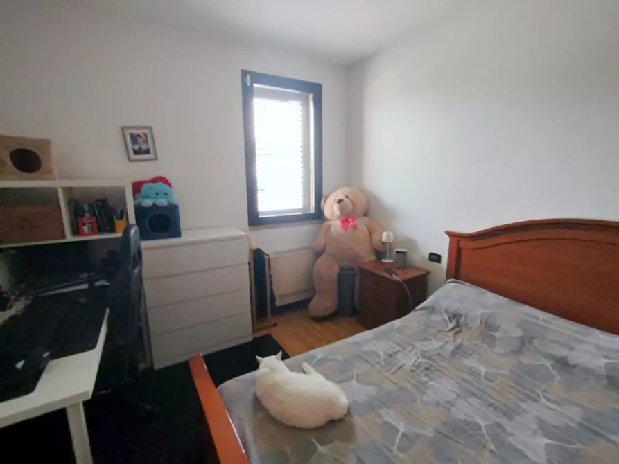 Immagine 5 di Appartamento in affitto  in Viale Stazione 38 a Montegrotto Terme
