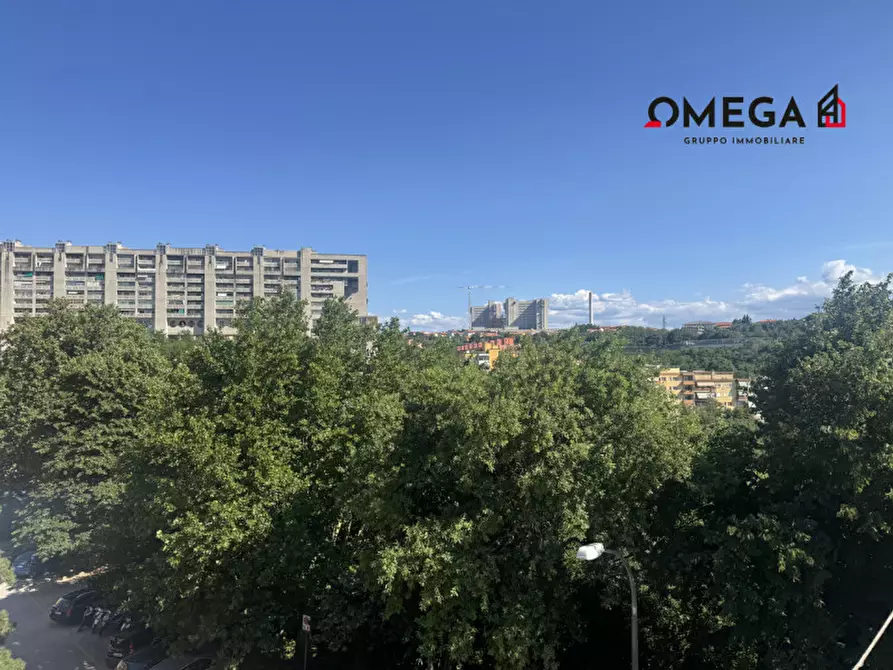 Immagine 27 di Appartamento in vendita  in Via Arturo Castiglioni 7 a Trieste