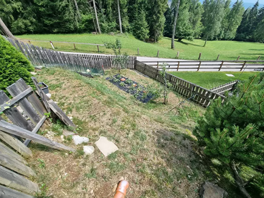 Immagine 34 di Appartamento in vendita  a Borgo D'anaunia