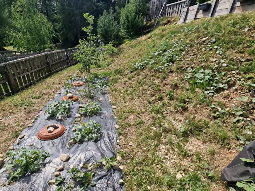 Immagine 35 di Appartamento in vendita  a Borgo D'anaunia