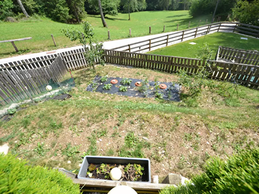 Immagine 46 di Appartamento in vendita  a Borgo D'anaunia